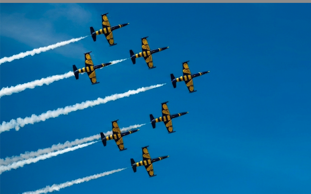 Baltic Bees Aerobatic Jet Flight